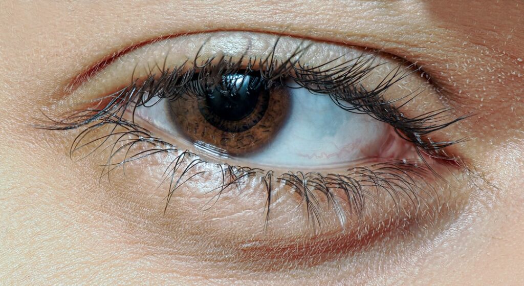 A close up of a woman's brown eye
