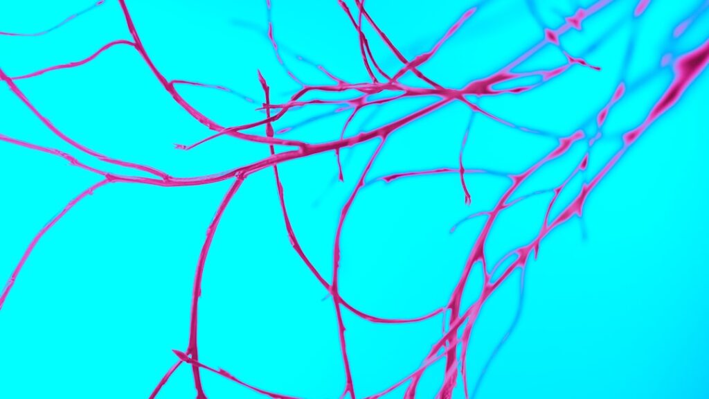 a close-up of some branches