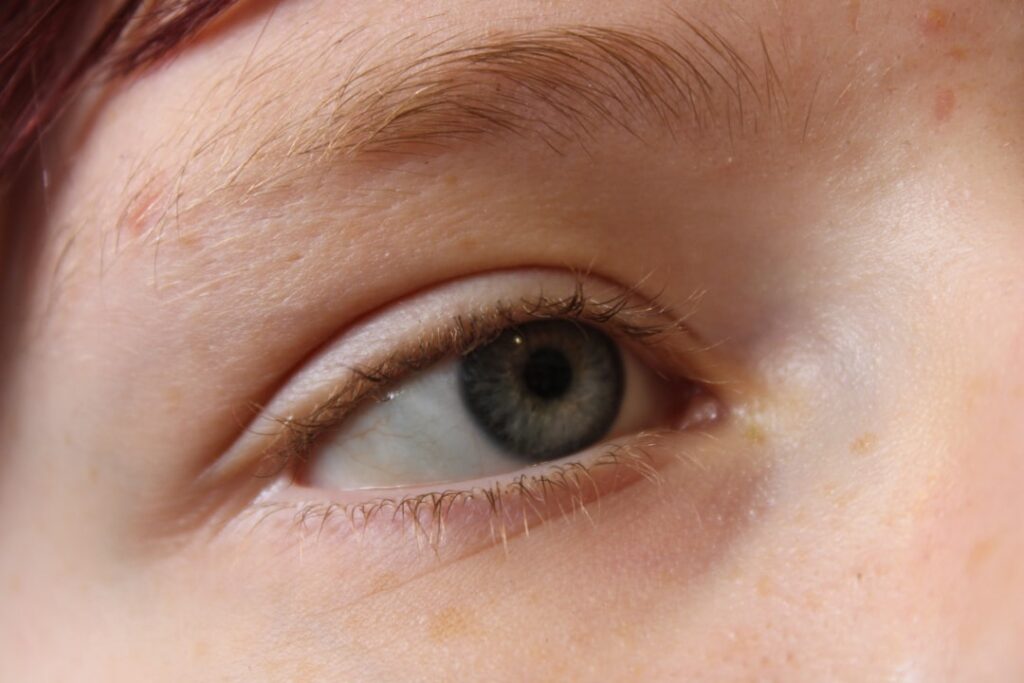 Gray-blue human eye with light brown eyebrow and fair skin.