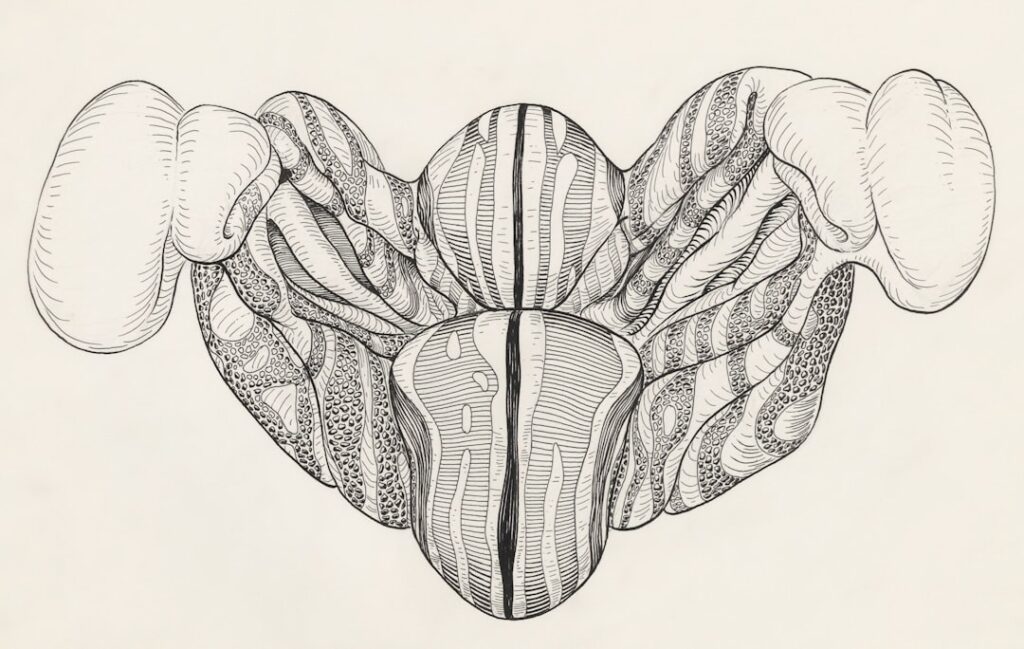 a black and white drawing of an animal's head