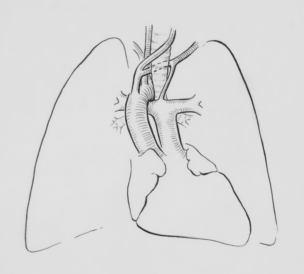 A lung function (spirometry) test