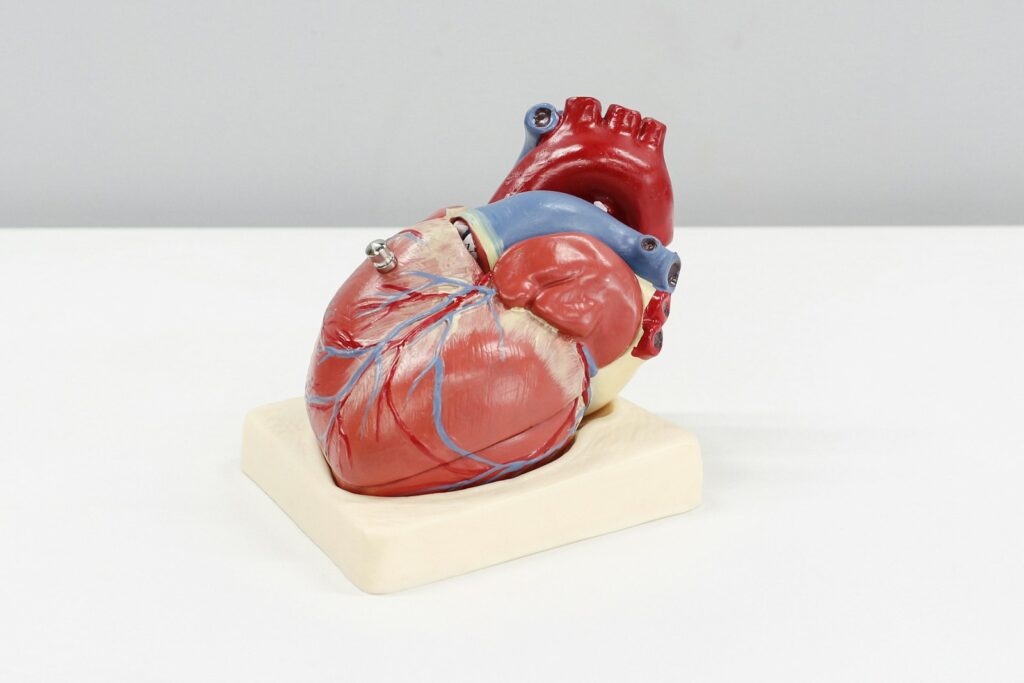 Heart valve replacement